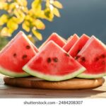 NBA在线无插件手机直播:随时随地畅享高清赛事 hczqg