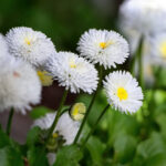 NBA勇士对决公牛巅峰之战直播,见证库里与拉文的对决 mh15ns7